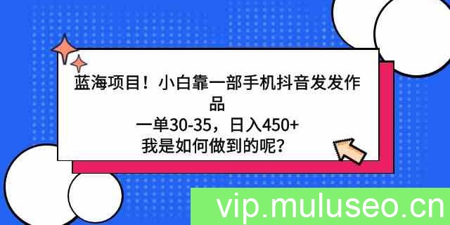 （9182期）蓝海项目！小白靠一部手机抖音发发作品，一单30-35，日入450+，我是如何…