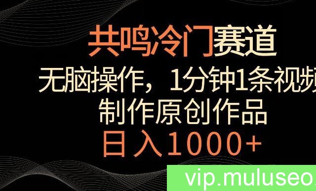 共鸣冷门赛道，无脑操作，一分钟一条视频，日入1000+【揭秘】