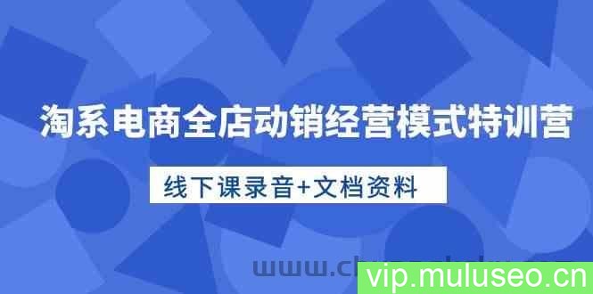 （10192期）淘系电商全店动销经营模式特训营，线下课录音+文档资料