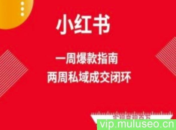 爆款小红书免费流量体系课程(两周变现)，小红书电商教程