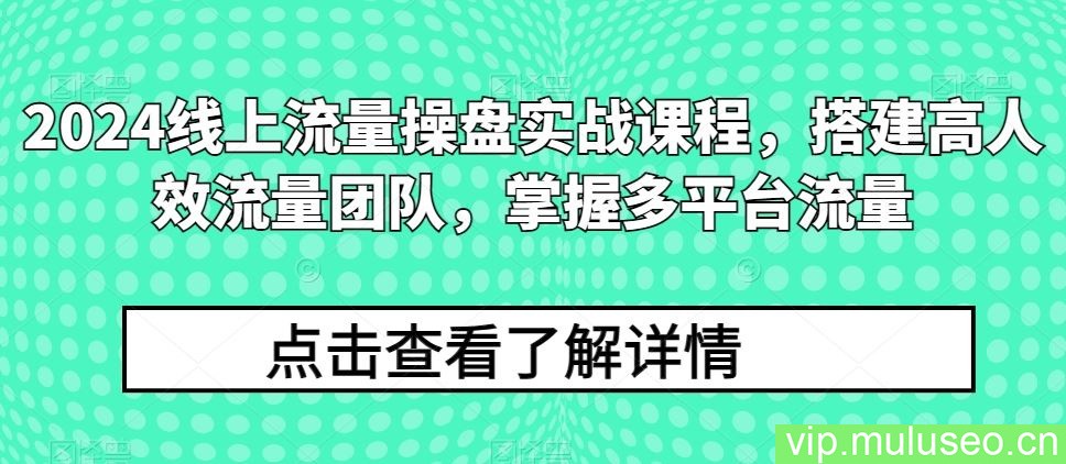 2024线上流量操盘实战课程，搭建高人效流量团队，掌握多平台流量