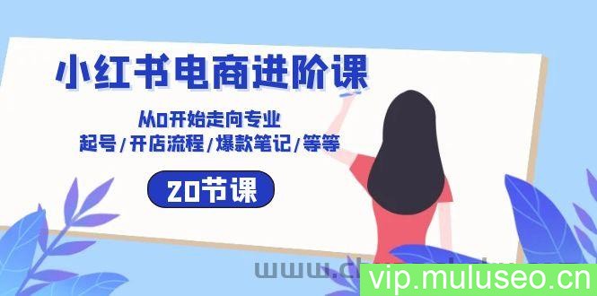 小红书电商进阶课：从0开始走向专业 起号/开店流程/爆款笔记/等等（20节）