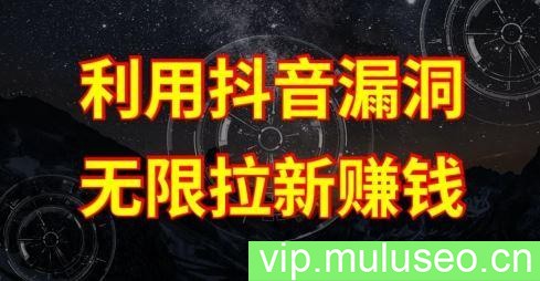 利用抖音链接漏洞，无限拉新赚钱【漏洞原理+操作流程】【揭秘】