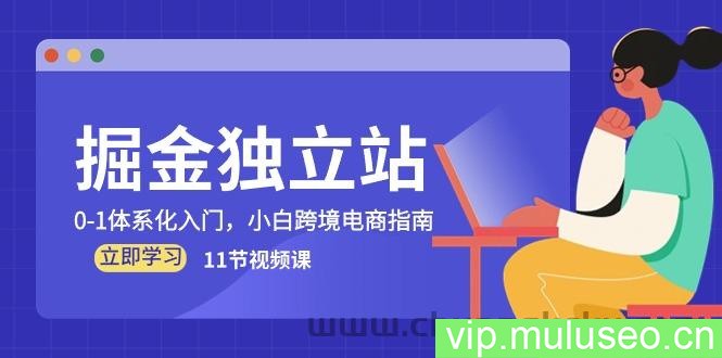（10536期）掘金 独立站，0-1体系化入门，小白跨境电商指南（11节视频课）