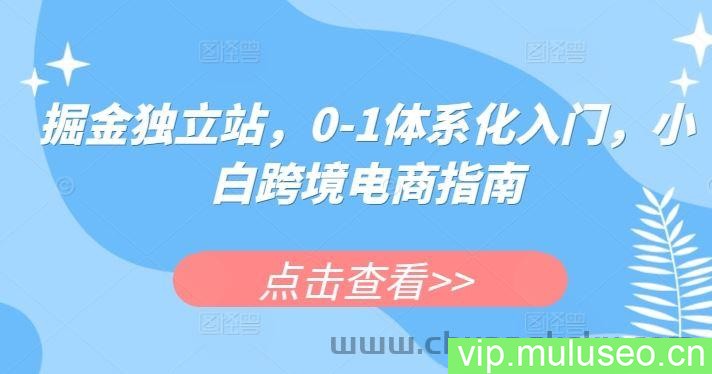 掘金独立站，0-1体系化入门，小白跨境电商指南