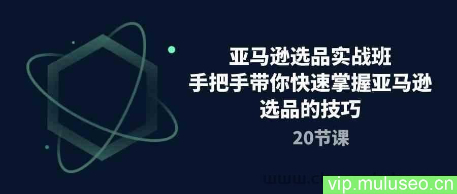 亚马逊选品实战班，手把手带你快速掌握亚马逊选品的技巧（20节课）