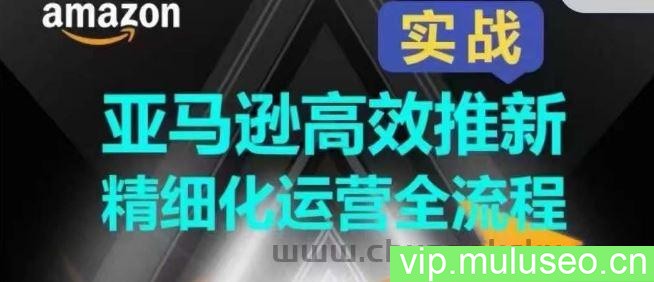 亚马逊高效推新精细化运营全流程，全方位、快速拉升产品排名和销量!