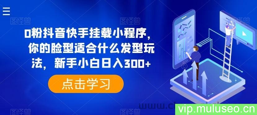 0粉抖音快手挂载小程序，你的脸型适合什么发型玩法，新手小白日入300+【揭秘】