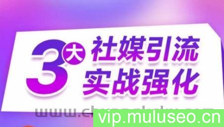 3大社媒引流实战强化，多渠道站外引流，高效精准获客，订单销售额翻倍增长