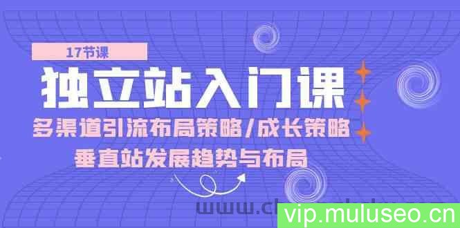 独立站入门课：多渠道引流布局策略/成长策略/垂直站发展趋势与布局