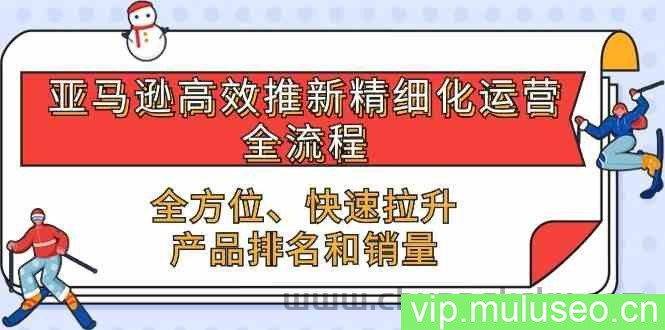 亚马逊高效推新精细化运营全流程，全方位、快速 拉升产品排名和销量