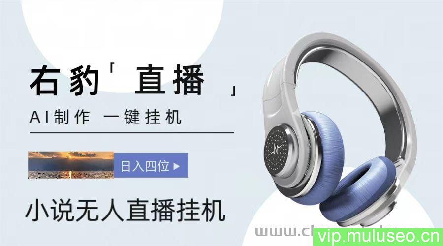 右豹小说无人直播挂机吸金项目，简单易行收益稳定， 月入1000+