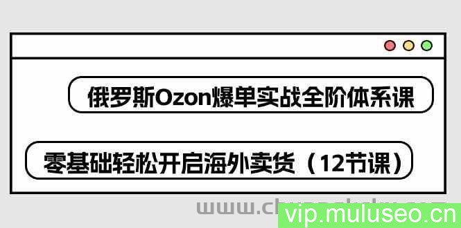 俄罗斯Ozon爆单实战全阶体系课，零基础轻松开启海外卖货（12节课）