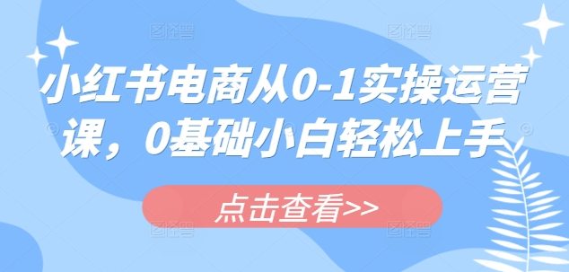 小红书电商从0-1实操运营课，0基础小白轻松上手