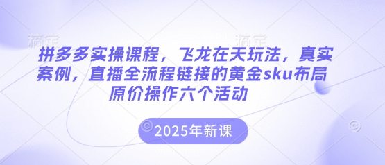拼多多实操课程，飞龙在天玩法，真实案例，直播全流程链接的黄金sku布局原价操作六个活动
