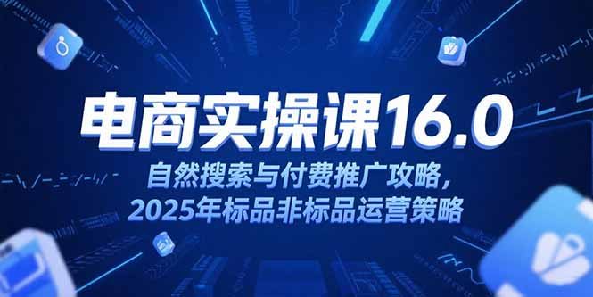 淘宝电商运营课16.0，自然搜索与付费推广攻略，2025年标品非标品运营策略