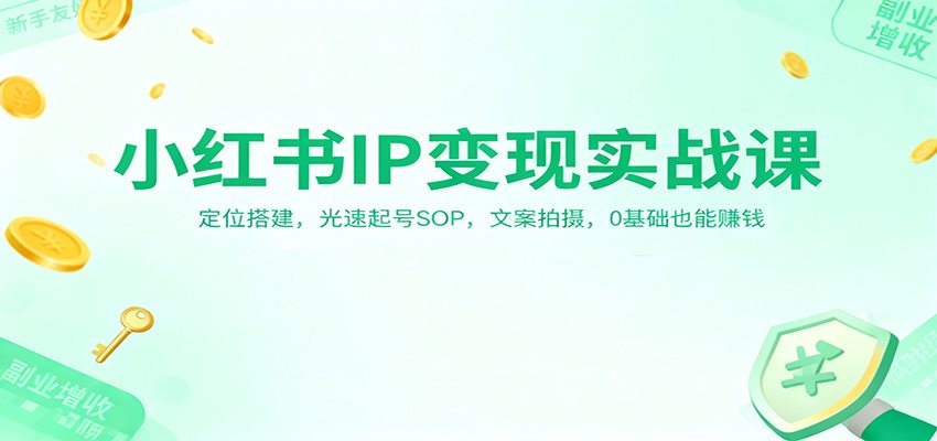 小红书IP变现实战课：定位搭建，光速起号SOP，文案拍摄，0基础也能赚钱